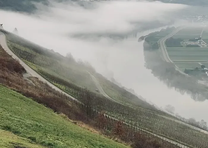 Weingut Christian Bechtel * Klusserath